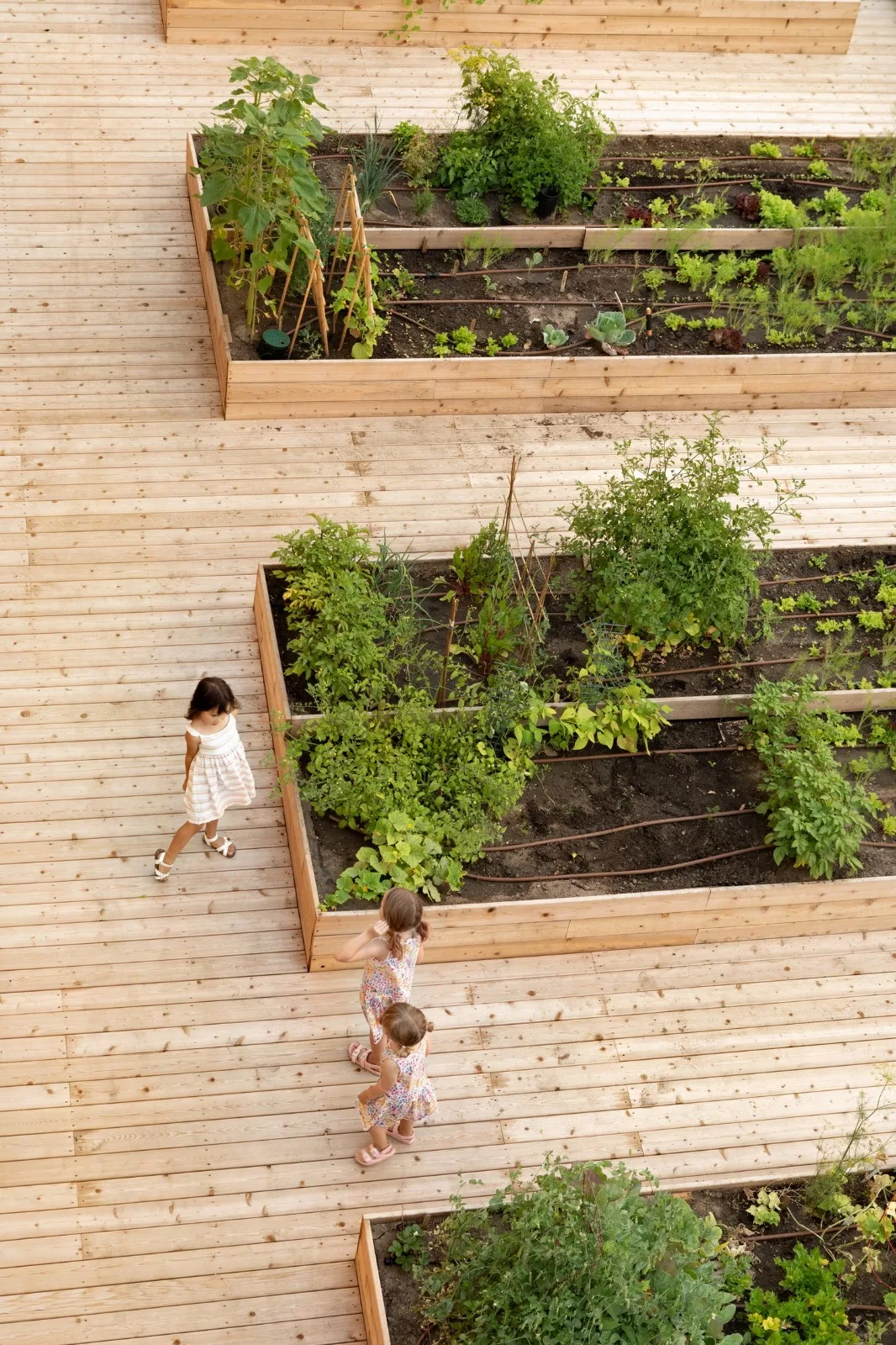 BIM Architecture | GROW Residential Area/Modern Design and Architecture Studio