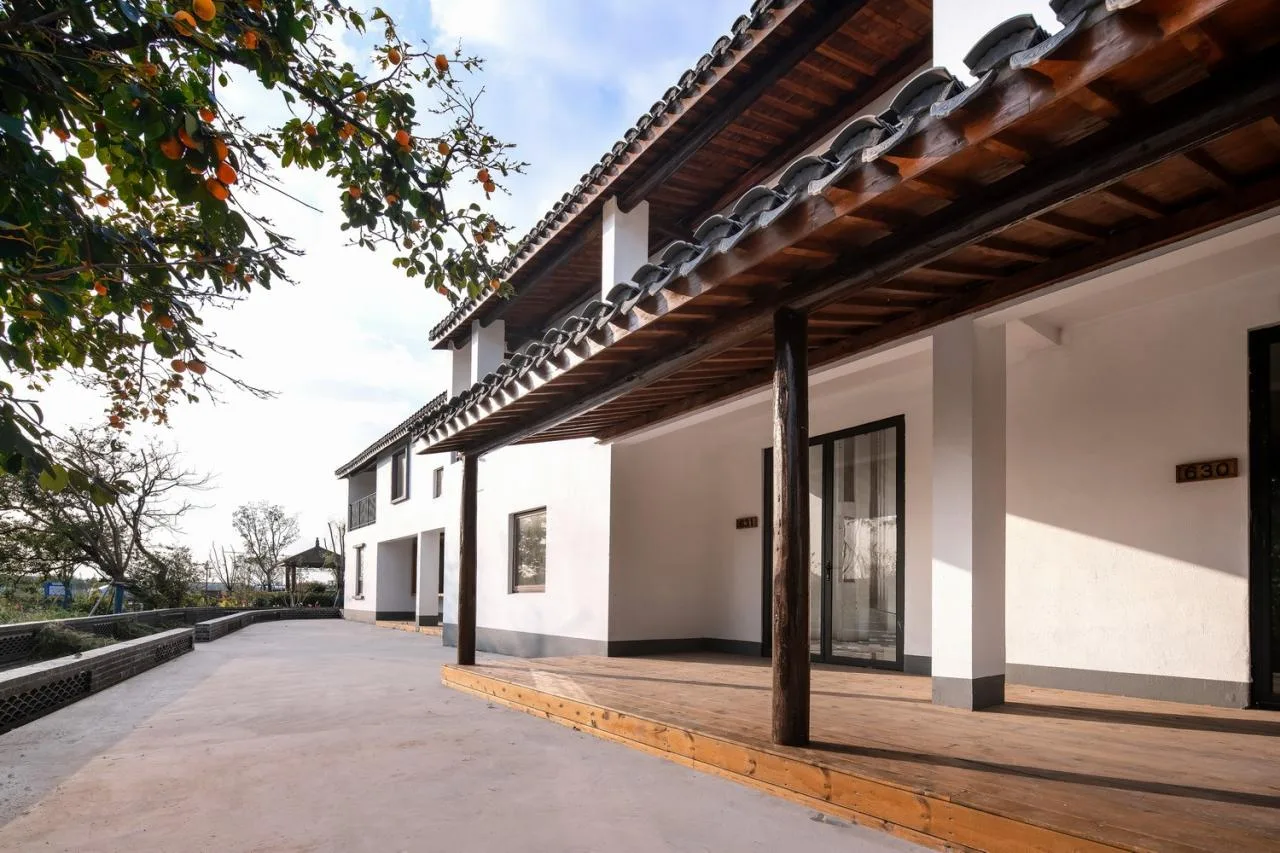 BIM Architecture | Low Cost Whole Village Renovation Practice: Rural Revitalization of Liyao Village in Fengxian, Shanghai/Water Stone Design