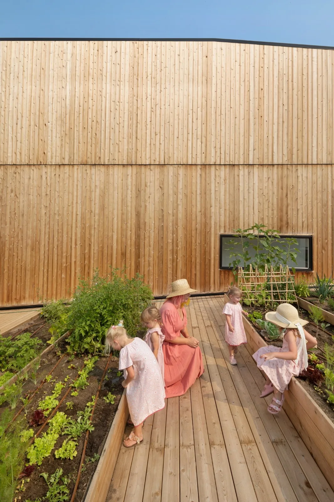 BIM Architecture | GROW Residential Area/Modern Design and Architecture Studio
