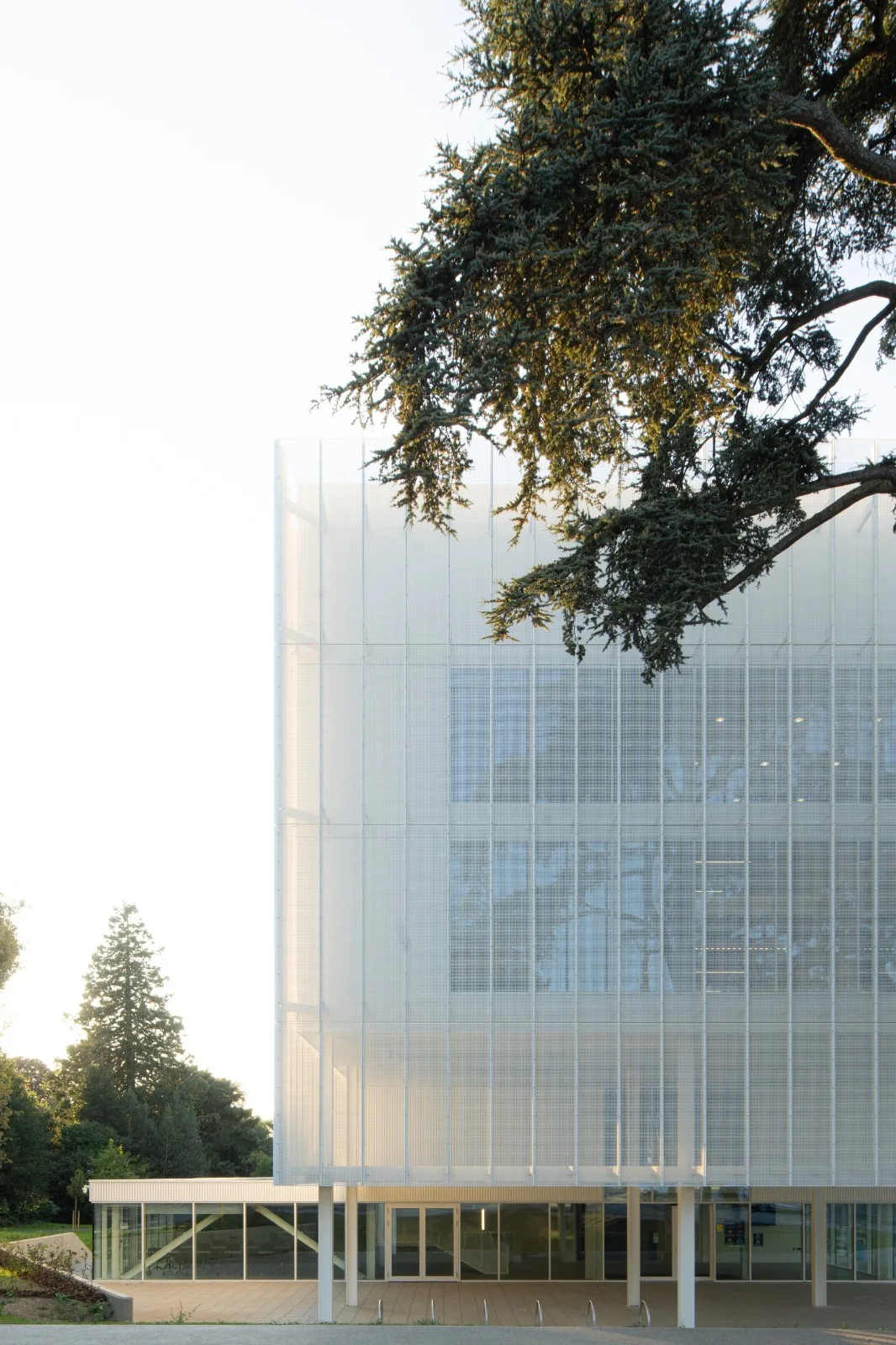 BIM Architecture | Norwich City College Digital Technology Factory/Coffey Architects