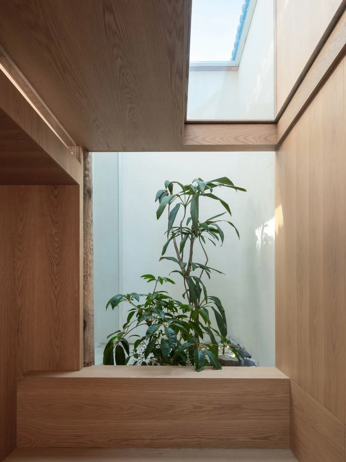 BIM Architecture | Interwoven Dialogue between New and Old - Courtyard Renovation Design at 91 Beiluogu Lane/Jiejie Studio