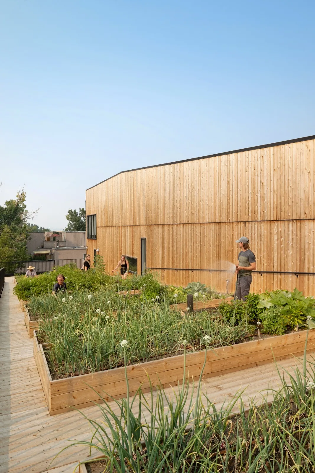 BIM Architecture | GROW Residential Area/Modern Design and Architecture Studio