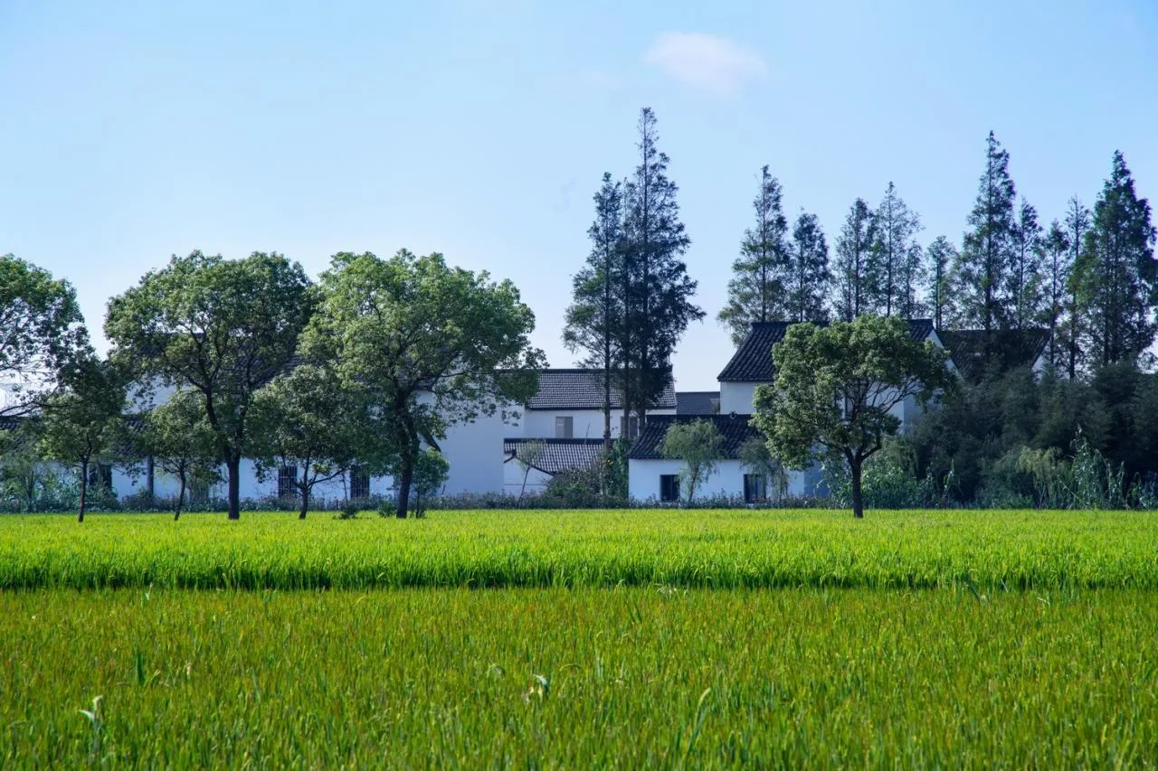 BIM Architecture | Low Cost Whole Village Renovation Practice: Rural Revitalization of Liyao Village in Fengxian, Shanghai/Water Stone Design