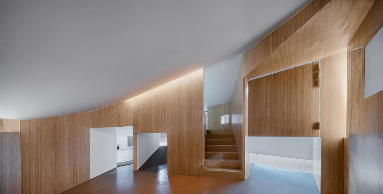 BIM Architecture | Carnival School/Similar Architectural Design
