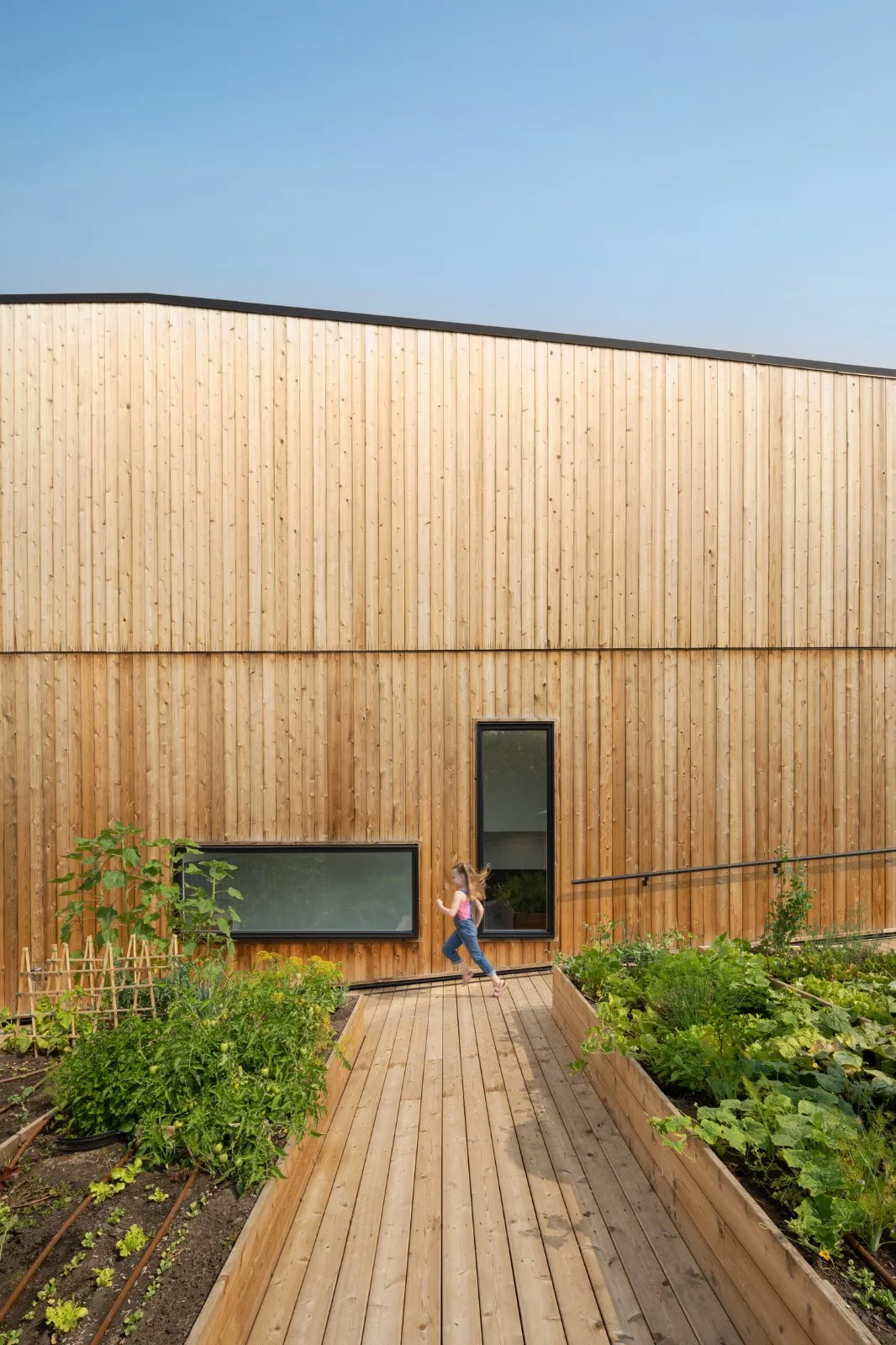 BIM Architecture | GROW Residential Area/Modern Design and Architecture Studio