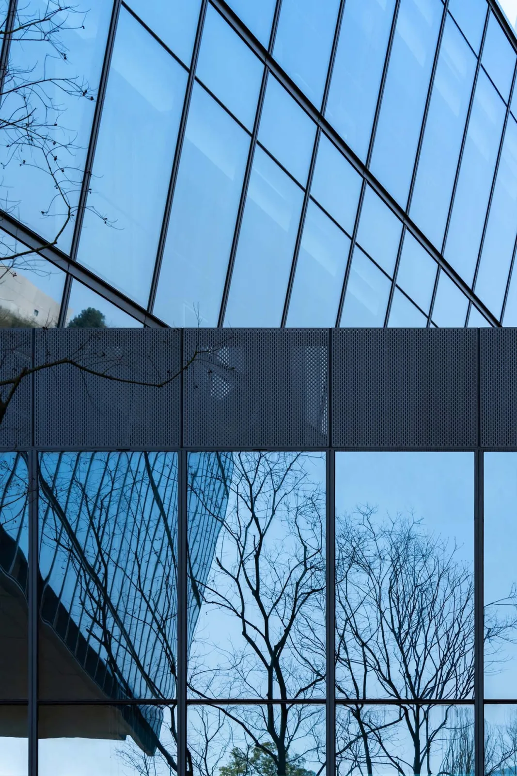 BIM Architecture | Chongqing Liangjiang Collaborative Innovation Zone Fusion Innovation Center/Shanghai Dushi Construction Architectural Design Firm