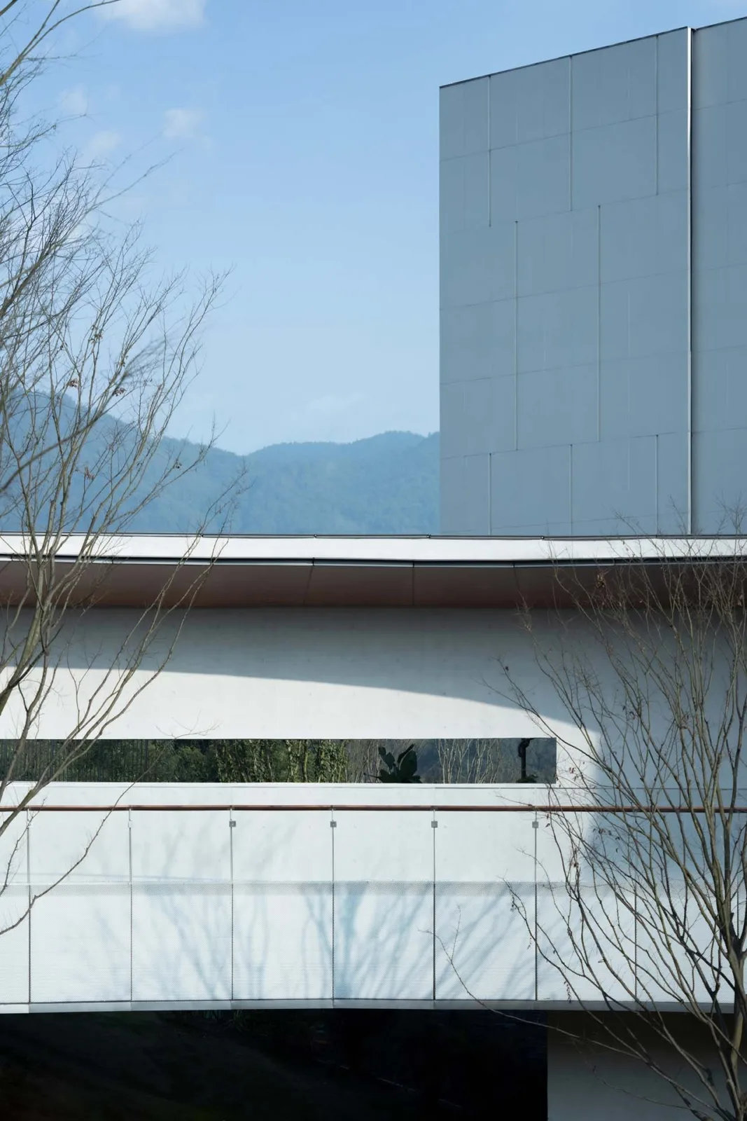 BIM Architecture | Chongqing Liangjiang Collaborative Innovation Zone Fusion Innovation Center/Shanghai Dushi Construction Architectural Design Firm