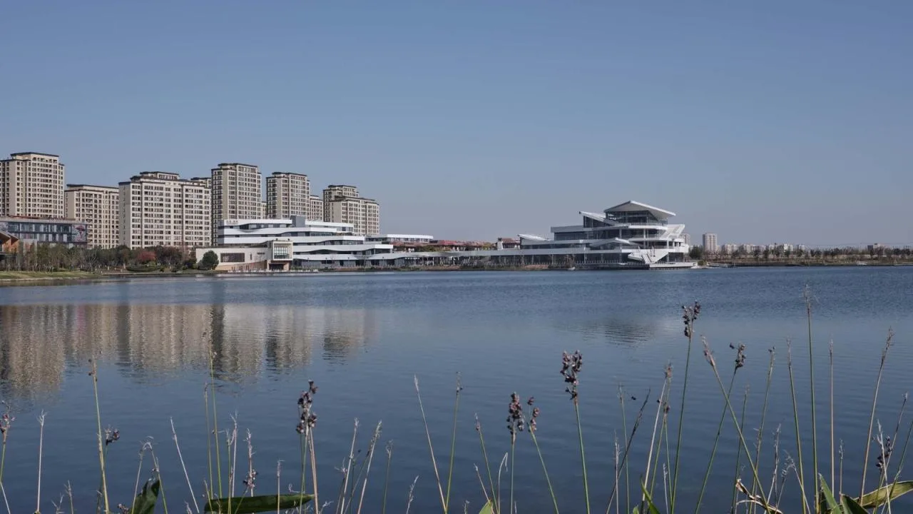 BIM Architecture | Roaming White Slices, Shanghai Fish/Tongji Original Design Studio