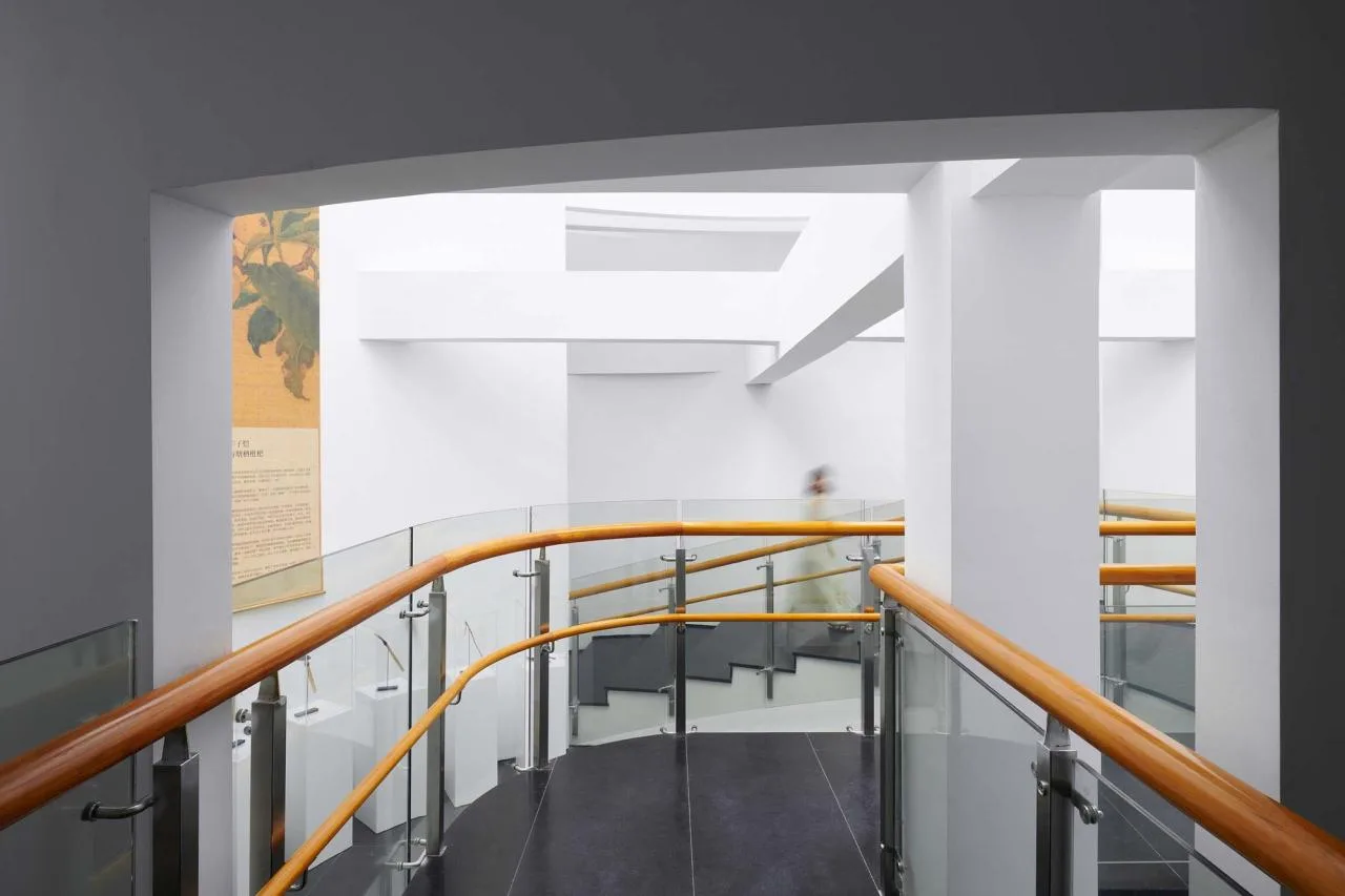 BIM Architecture | 'Borrowing Mountain Shadows', Architecture between Tangqi Loquat Museum/Fields