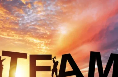BIM Q&A: How to Build an Effective BIM Team and Key Roles Explained-BIM WORLD