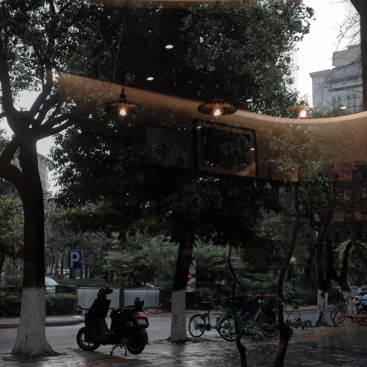 BIM architecture | Leave a light in the corners of the city for leisure coffee/vegetarian architecture