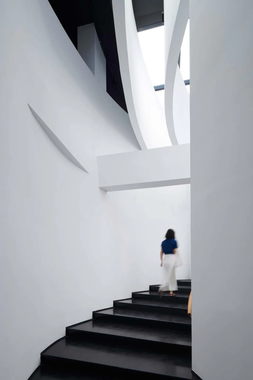 BIM Architecture | 'Borrowing Mountain Shadows', Architecture between Tangqi Loquat Museum/Fields