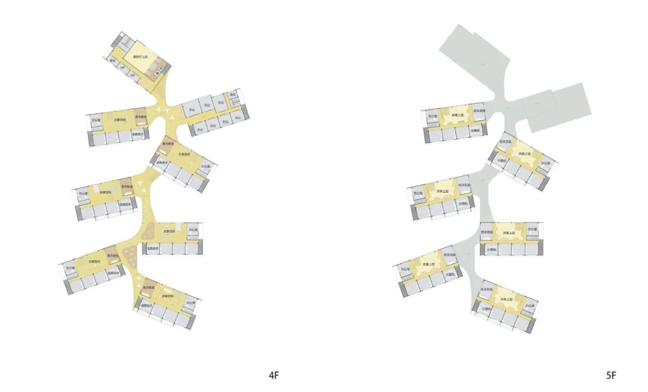 BIM Architecture | Tianfu New Area Ocean Road Middle School/MAT Super Architecture Firm