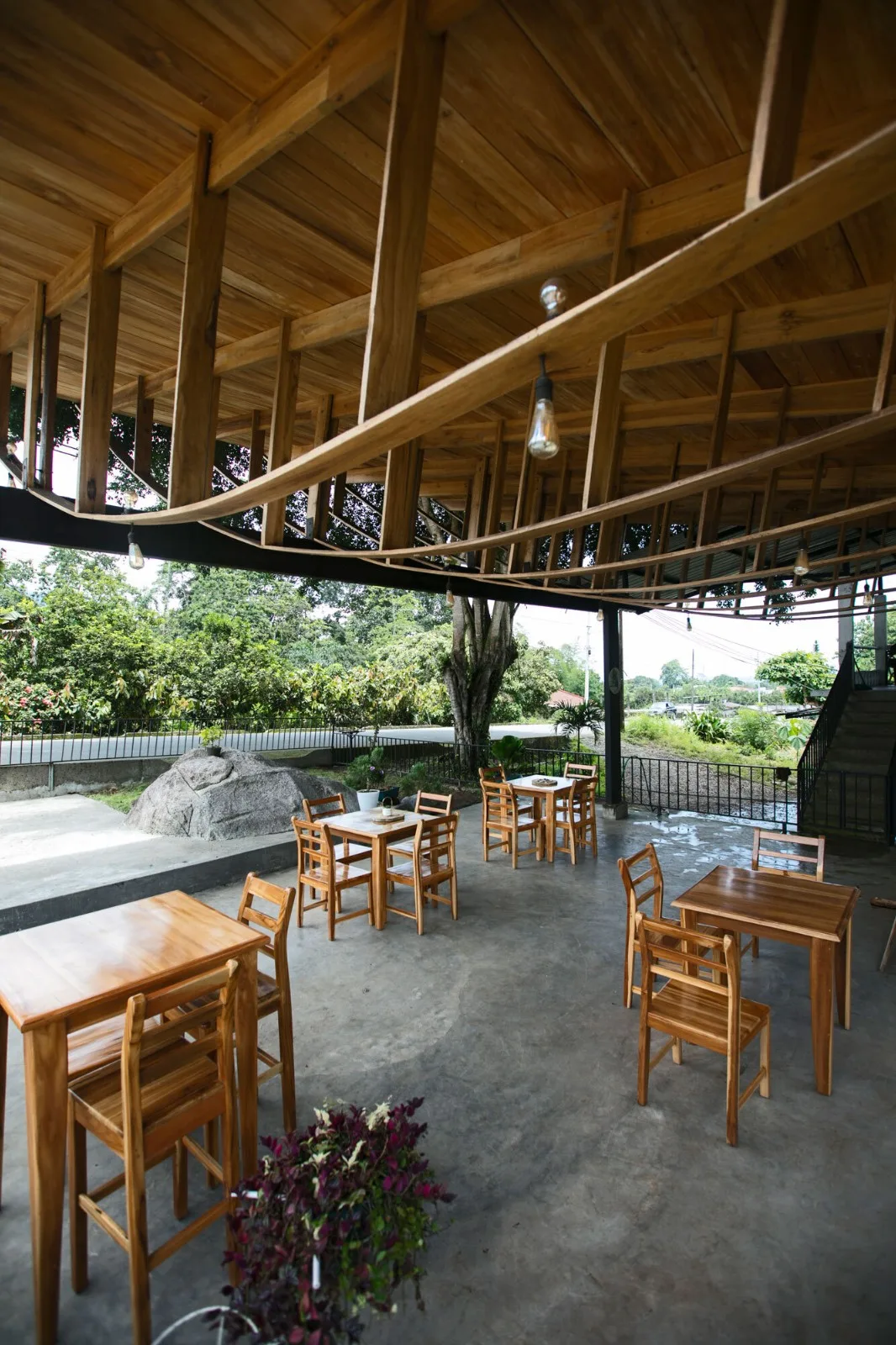 BIM Architecture | Under the Banyan Tree at the Village Entrance, Ficus Alto/Natura Futura Arquitectura Community Public Space
