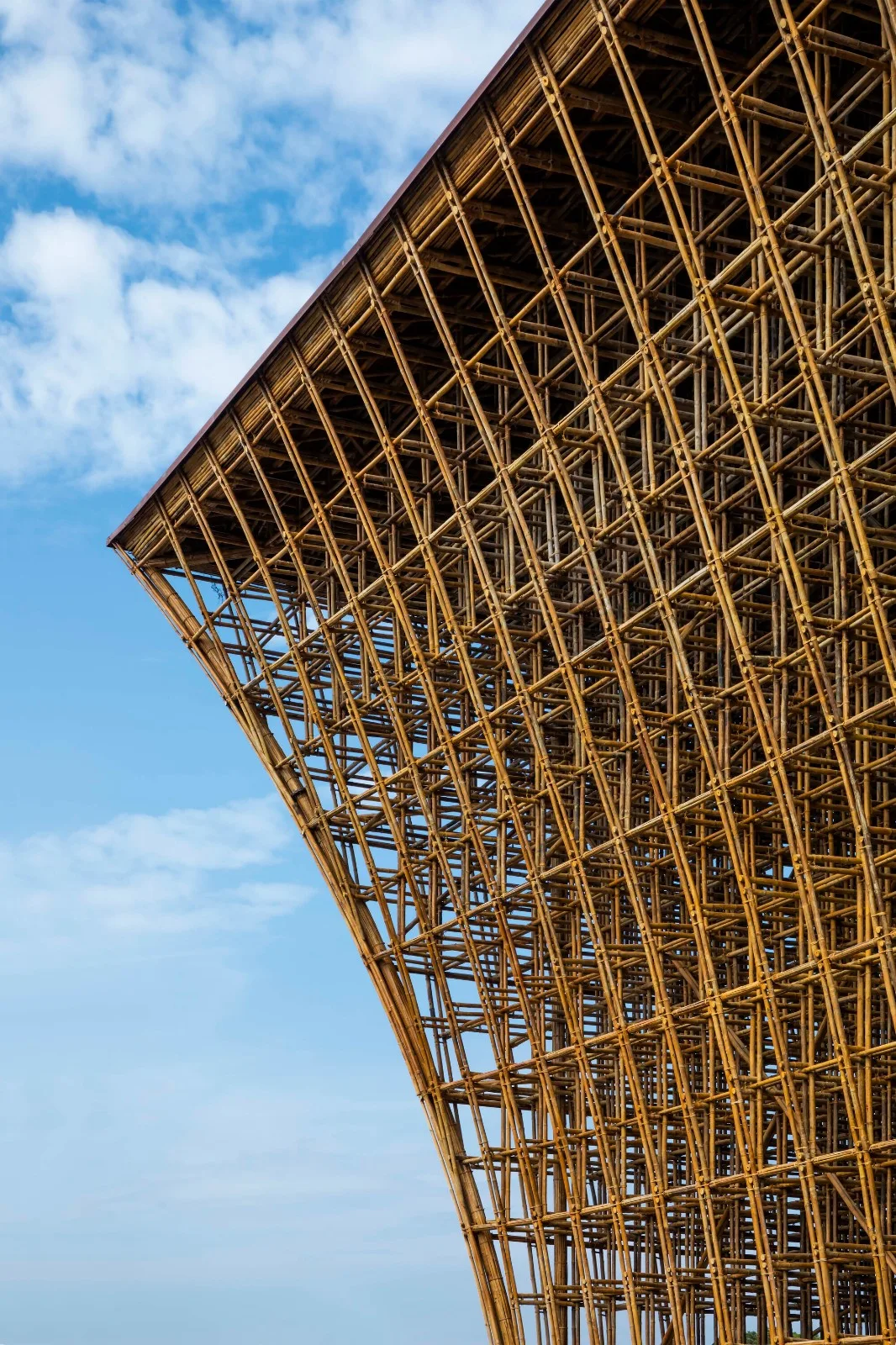 BIM Architecture | 42000 bamboo poles, Welcome Center of Fuguo Island World/Wu Zhongyi Architectural Firm