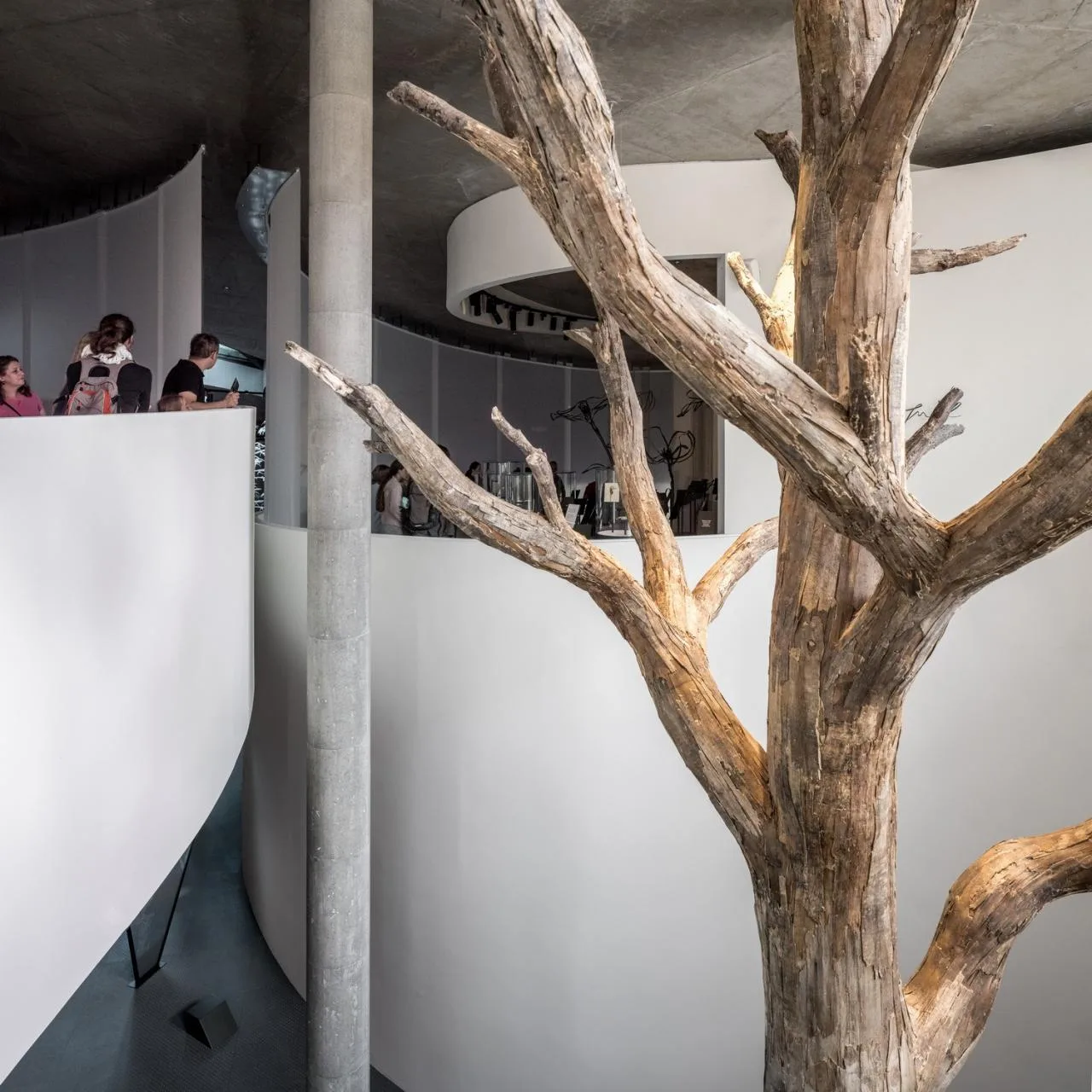BIM Architecture | Andersen Museum/Kengo Kuma Architecture Urban Design Firm