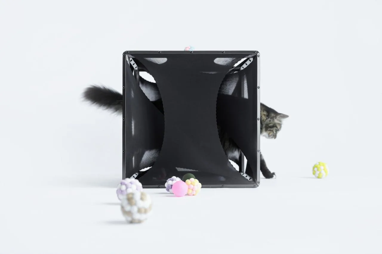BIM Architecture | If the Owner is a Cat: Cat Cube Series/Duray