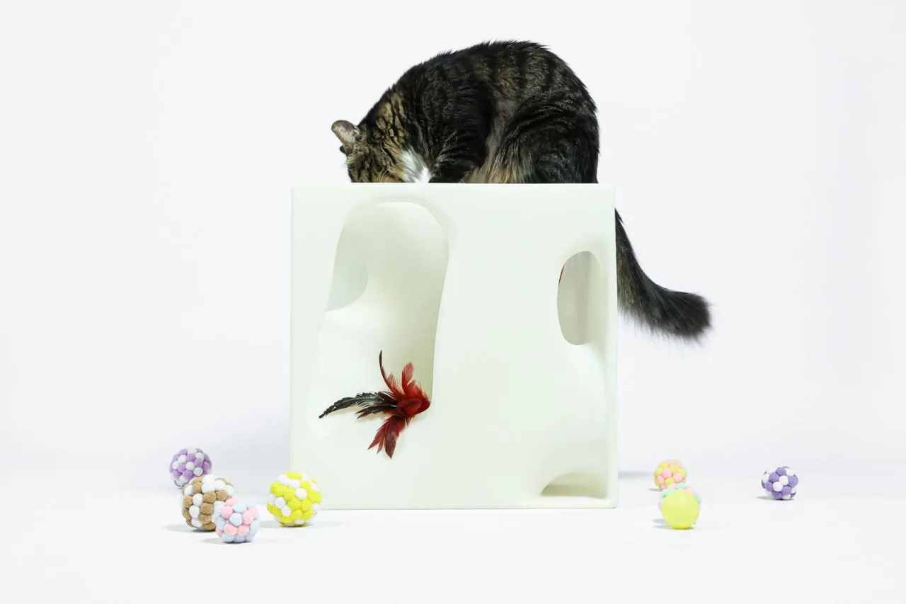 BIM Architecture | If the Owner is a Cat: Cat Cube Series/Duray