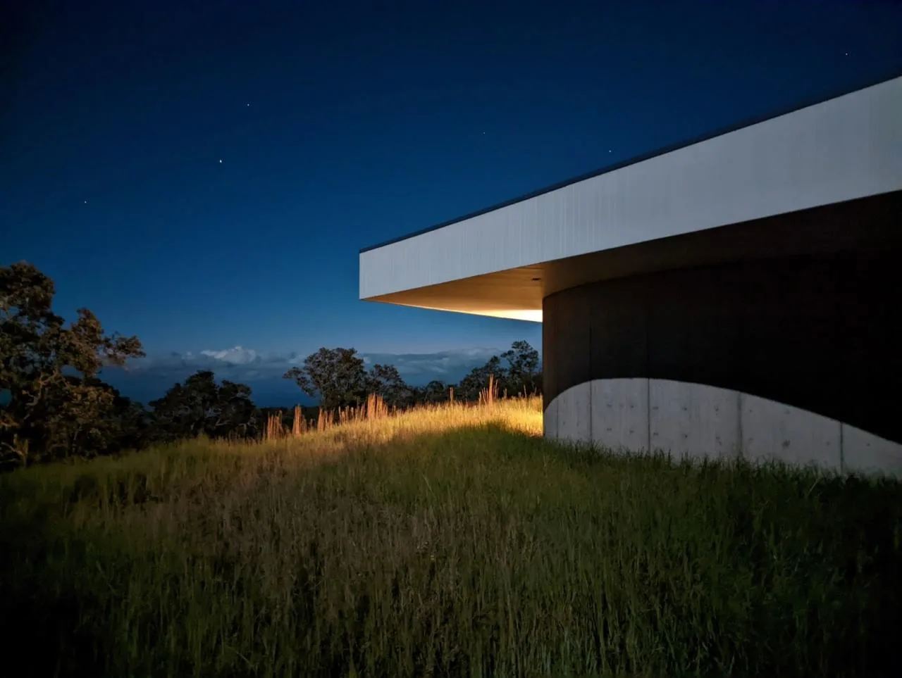 BIM Architecture | Triangle Rice and vegetable roll Home, Musubi Residence/Craig Steely Architecture