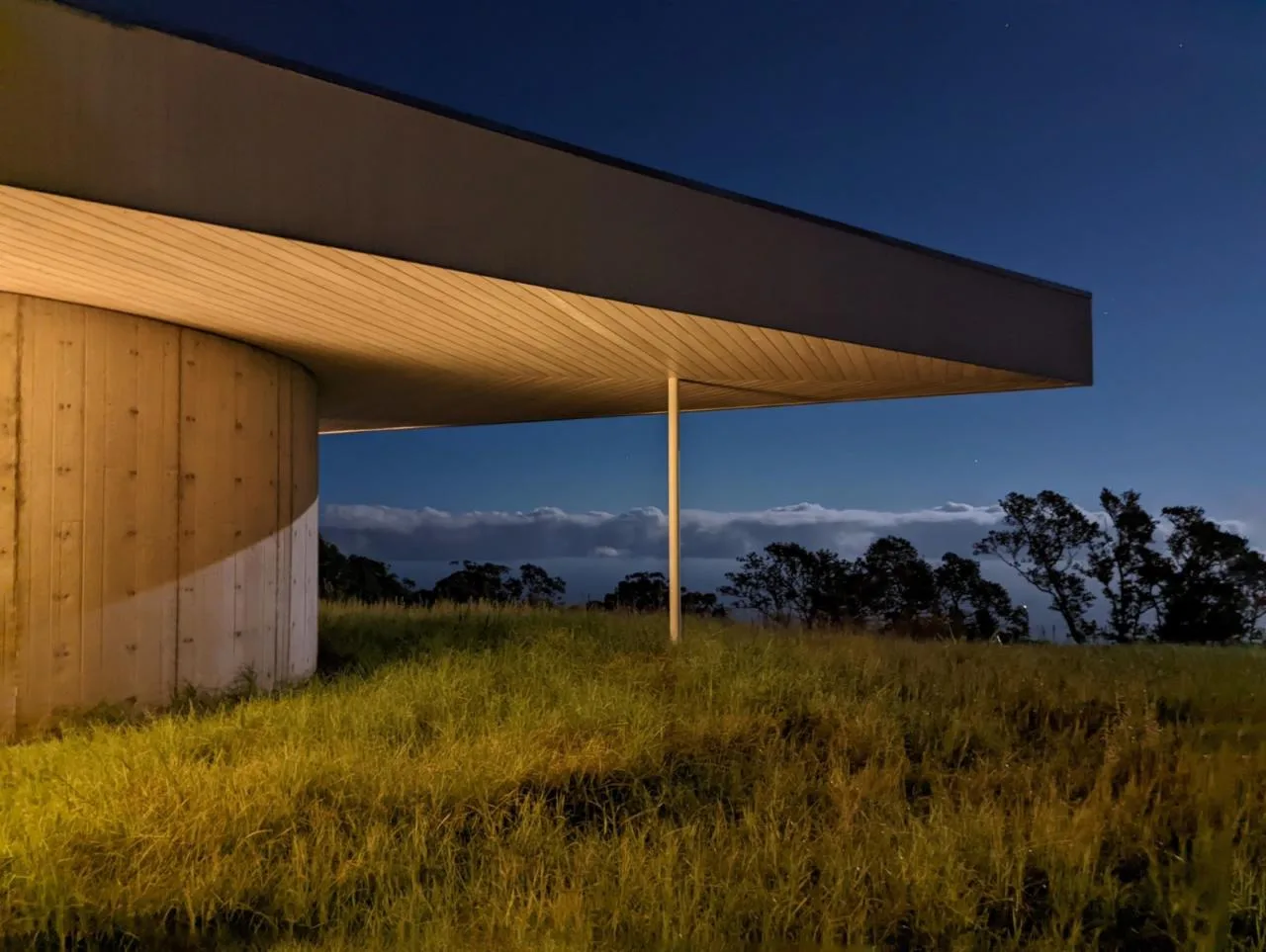 BIM Architecture | Triangle Rice and vegetable roll Home, Musubi Residence/Craig Steely Architecture