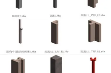 BIM Skills | Revit Basics: Understanding Template Files and Clan Libraries-BIM WORLD