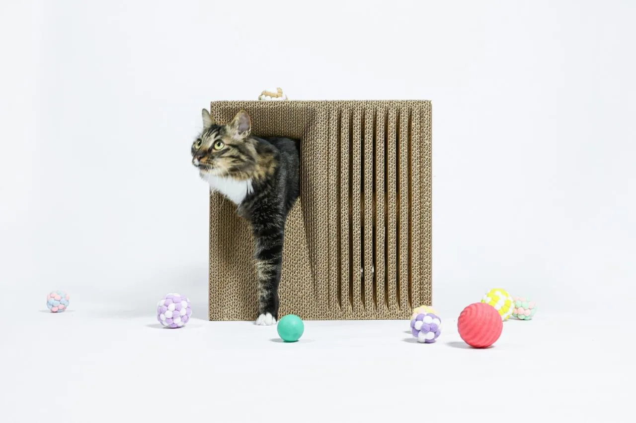 BIM Architecture | If the Owner is a Cat: Cat Cube Series/Duray