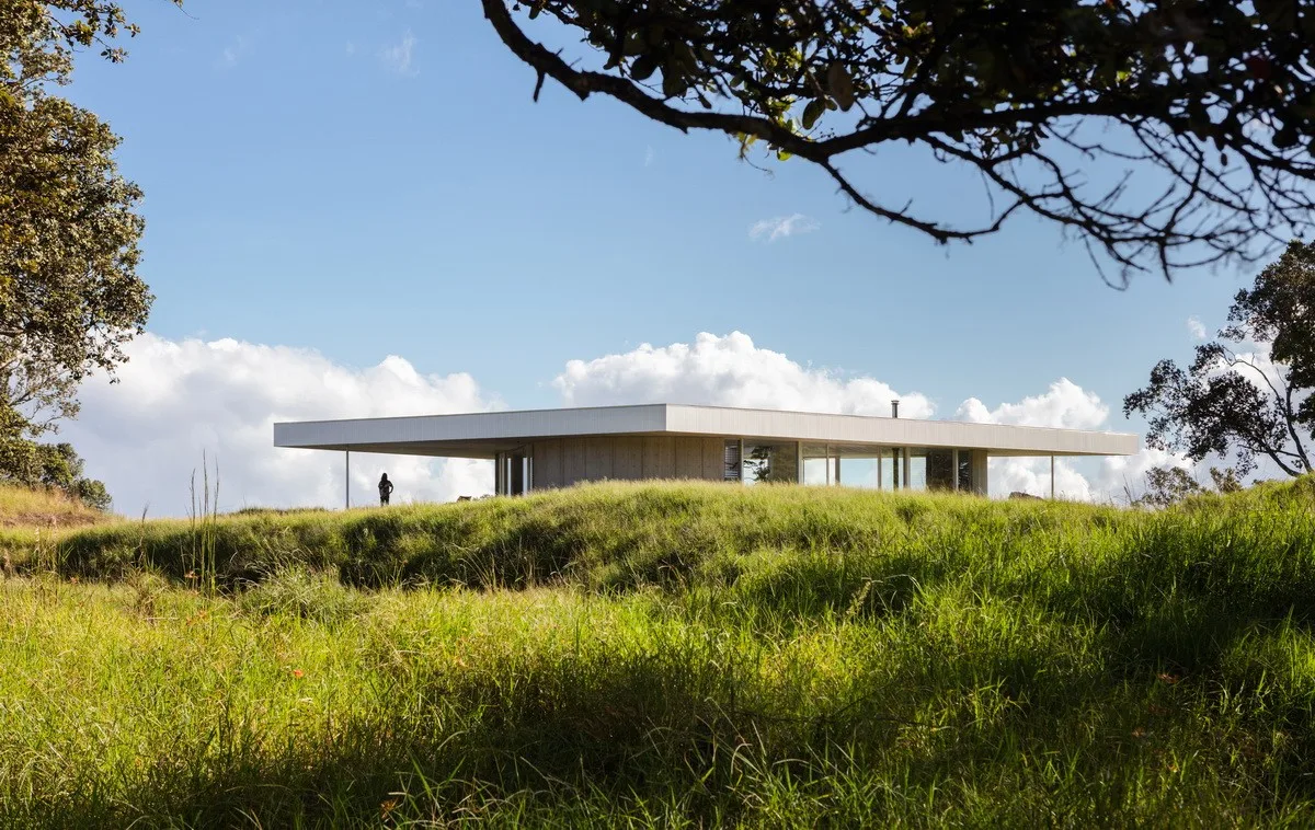 BIM Architecture | Triangle Rice and vegetable roll Home, Musubi Residence/Craig Steely Architecture