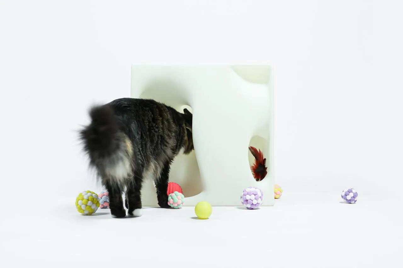 BIM Architecture | If the Owner is a Cat: Cat Cube Series/Duray
