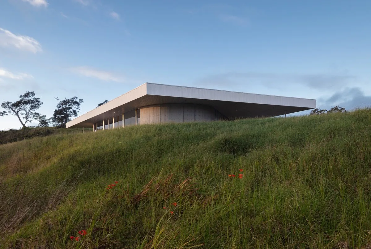BIM Architecture | Triangle Rice and vegetable roll Home, Musubi Residence/Craig Steely Architecture