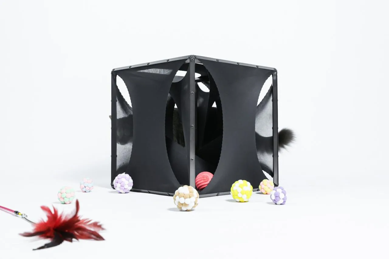 BIM Architecture | If the Owner is a Cat: Cat Cube Series/Duray