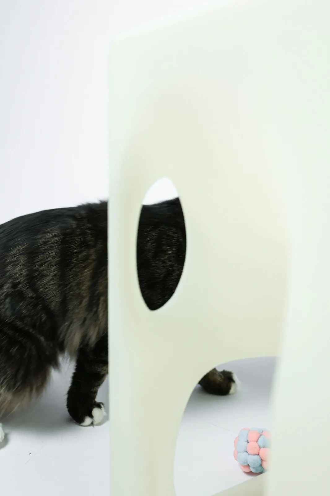 BIM Architecture | If the Owner is a Cat: Cat Cube Series/Duray