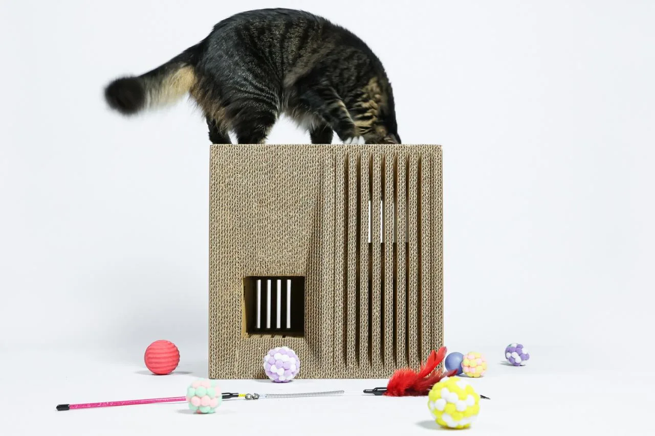 BIM Architecture | If the Owner is a Cat: Cat Cube Series/Duray