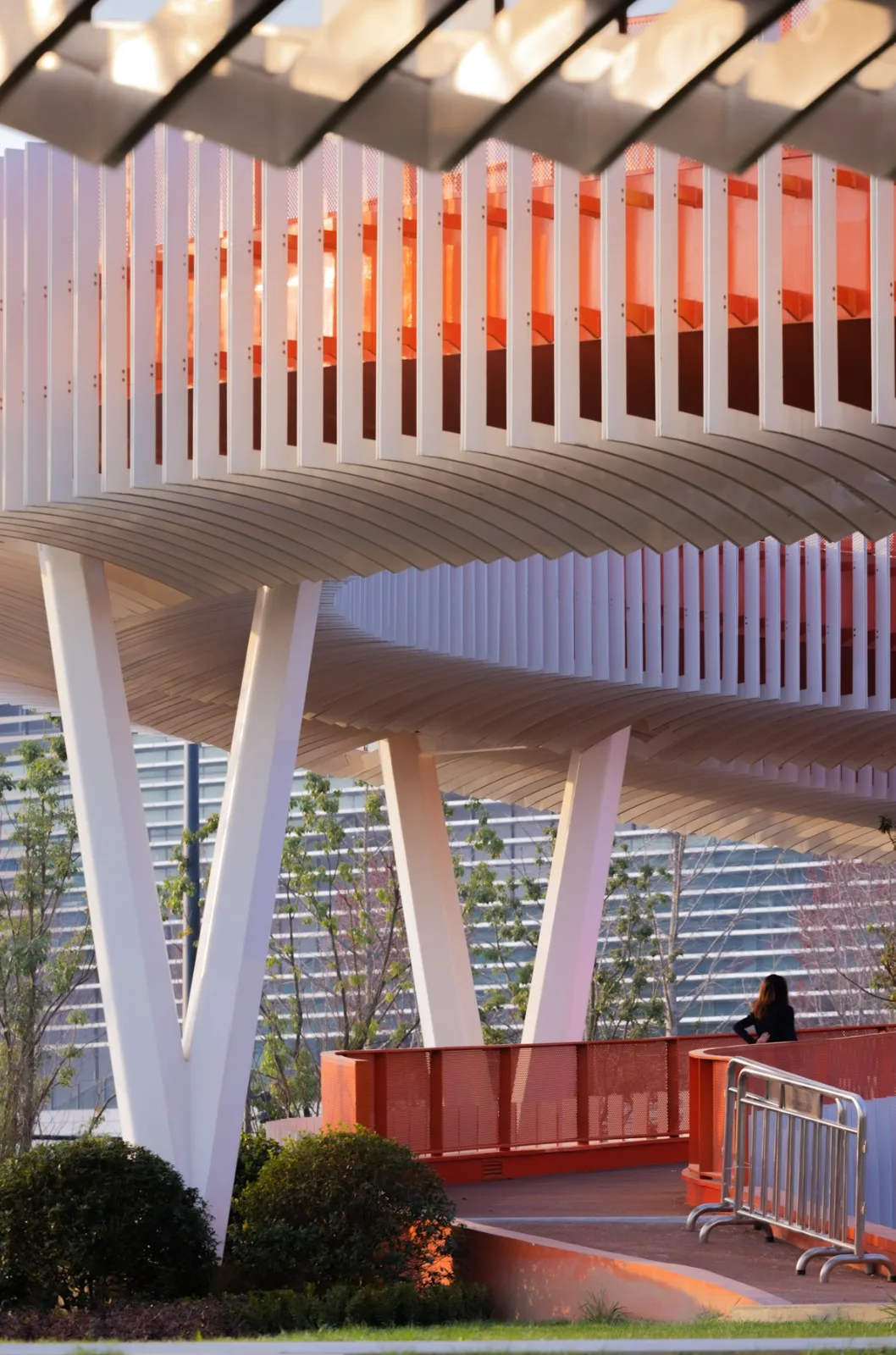 BIM Architecture | Landscape Corridor/Surrounding Buildings of Dong'an Lake Venue for Chengdu Universiade