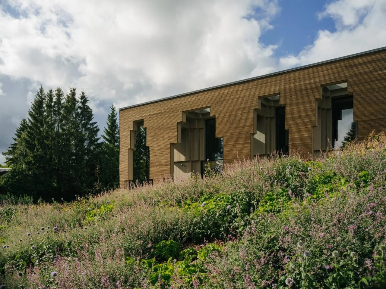 BIM Architecture | Saue Rural Municipal Architecture/Molumba