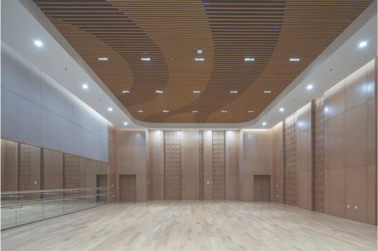 BIM Architecture | Zhengzhou Grand Theatre/Harbin Institute of Technology Architectural Design and Research Institute