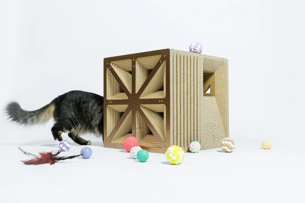 BIM Architecture | If the Owner is a Cat: Cat Cube Series/Duray