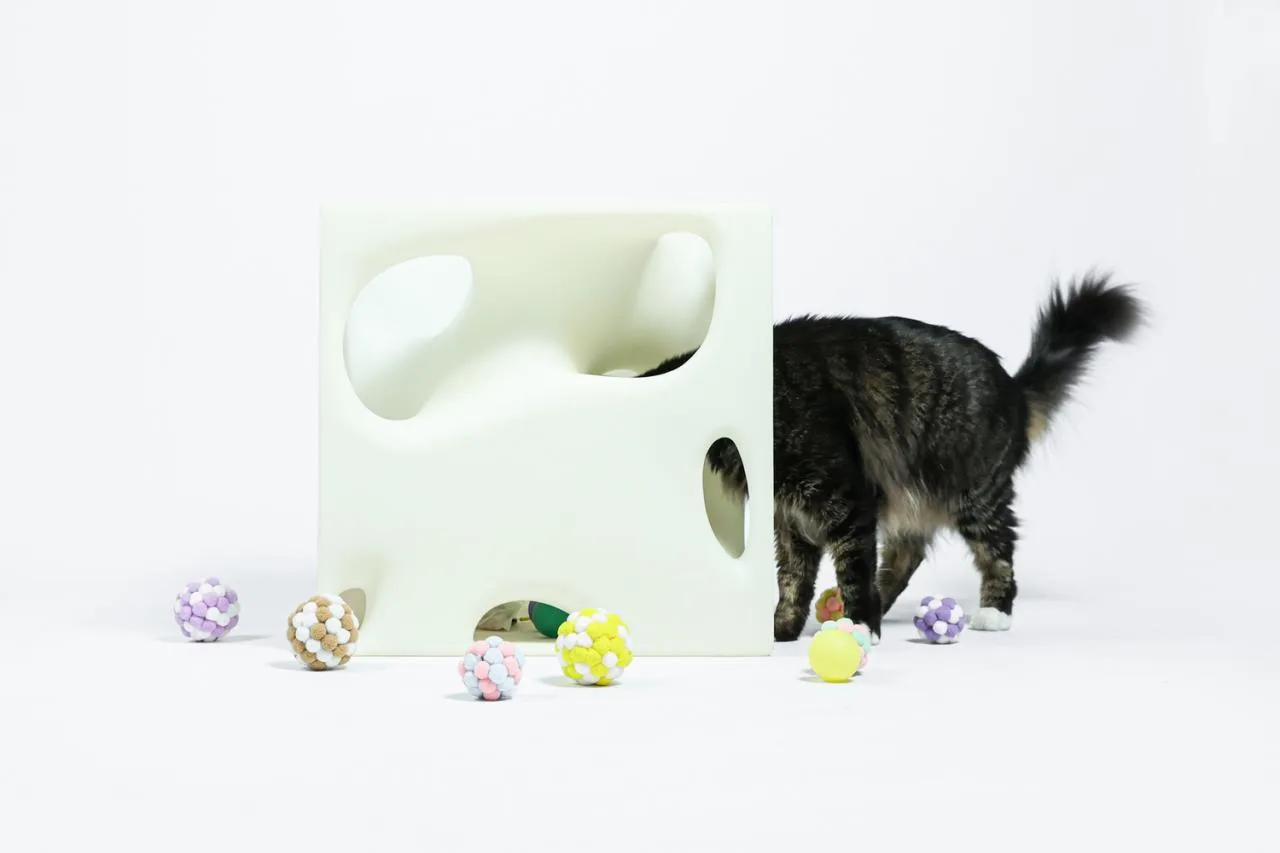BIM Architecture | If the Owner is a Cat: Cat Cube Series/Duray
