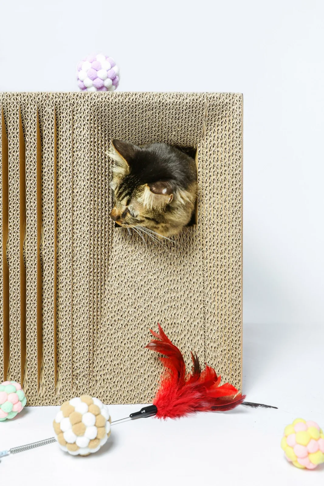 BIM Architecture | If the Owner is a Cat: Cat Cube Series/Duray