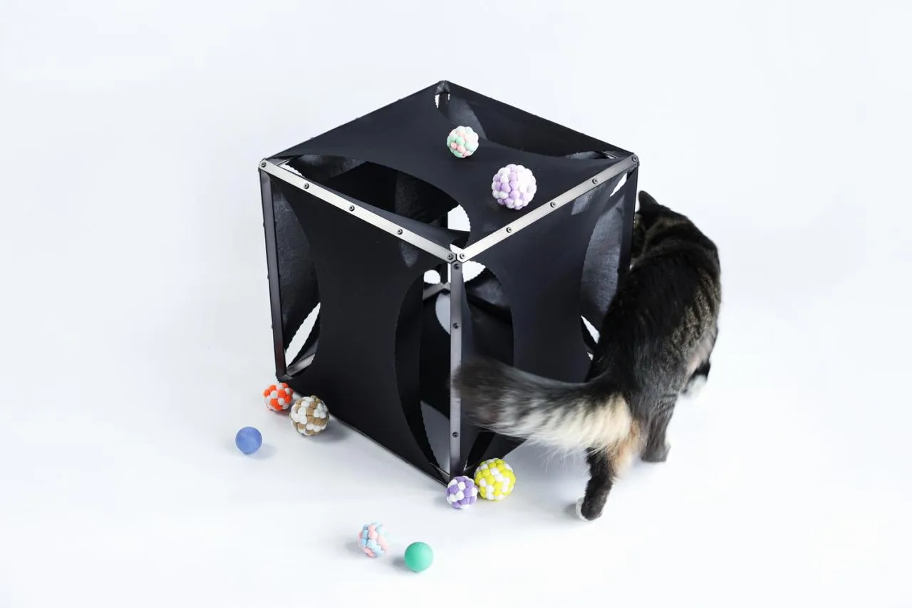 BIM Architecture | If the Owner is a Cat: Cat Cube Series/Duray