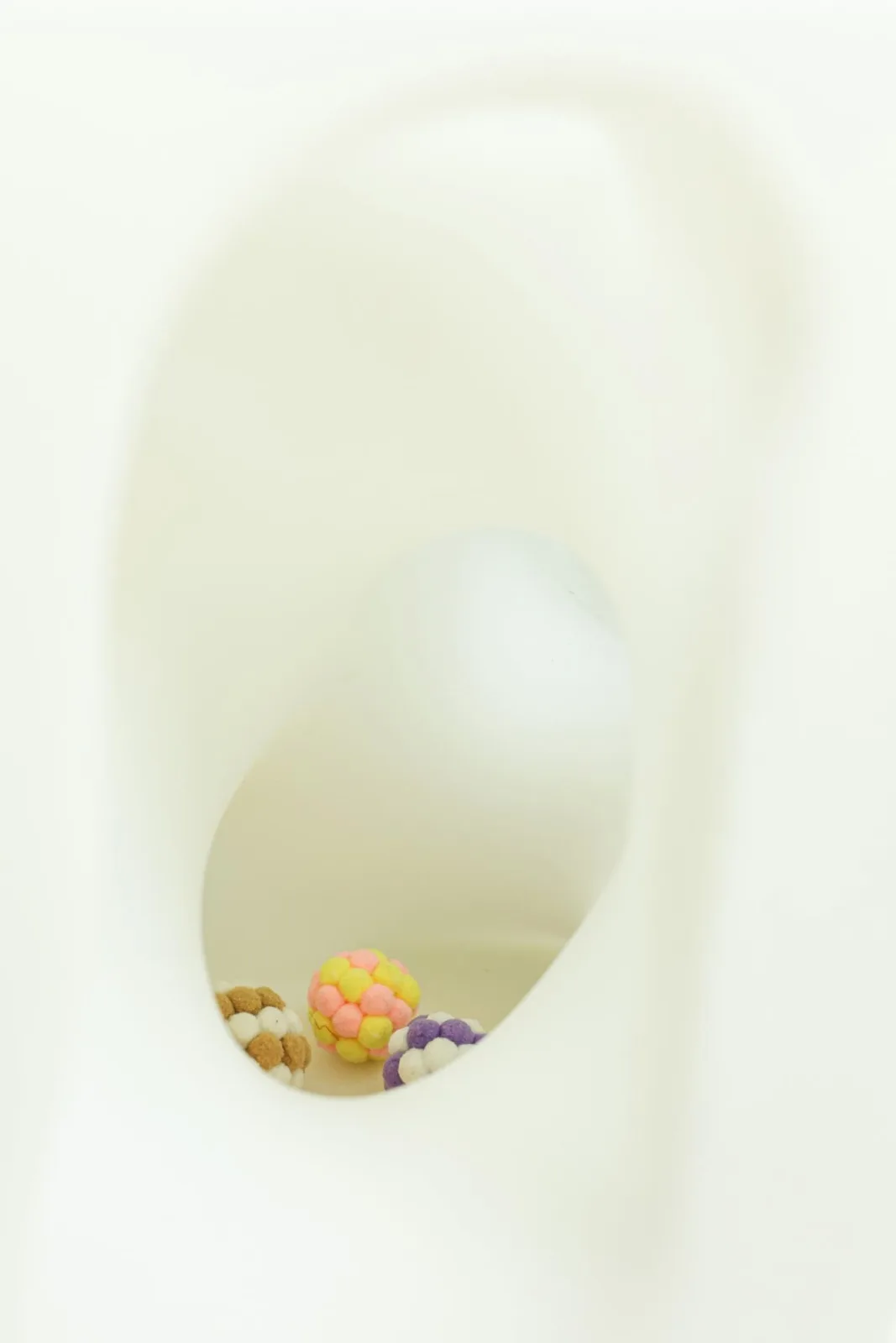 BIM Architecture | If the Owner is a Cat: Cat Cube Series/Duray