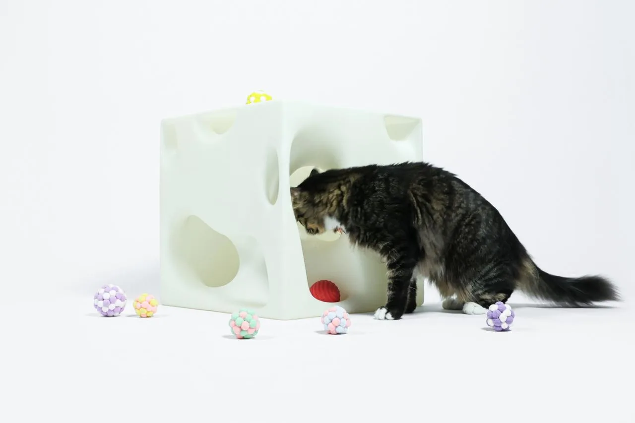 BIM Architecture | If the Owner is a Cat: Cat Cube Series/Duray