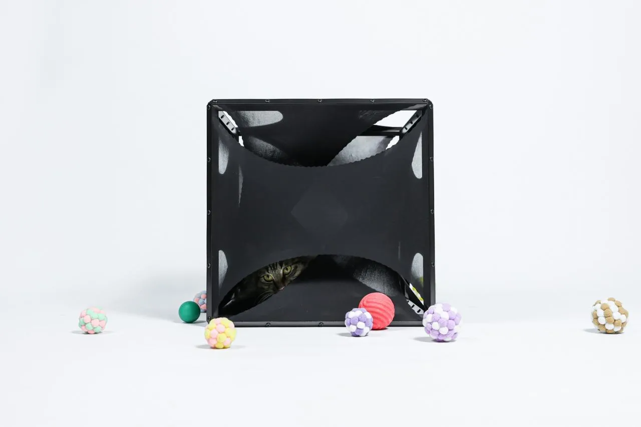 BIM Architecture | If the Owner is a Cat: Cat Cube Series/Duray