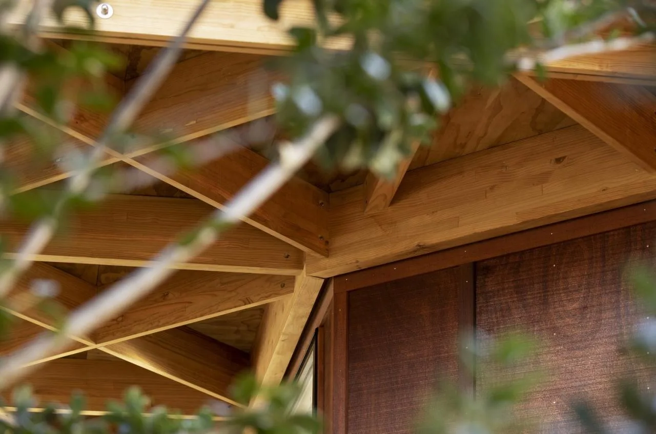 BIM Architecture | New Shoots/Collinglidge and Smith Architects, New Zealand Children's Centre