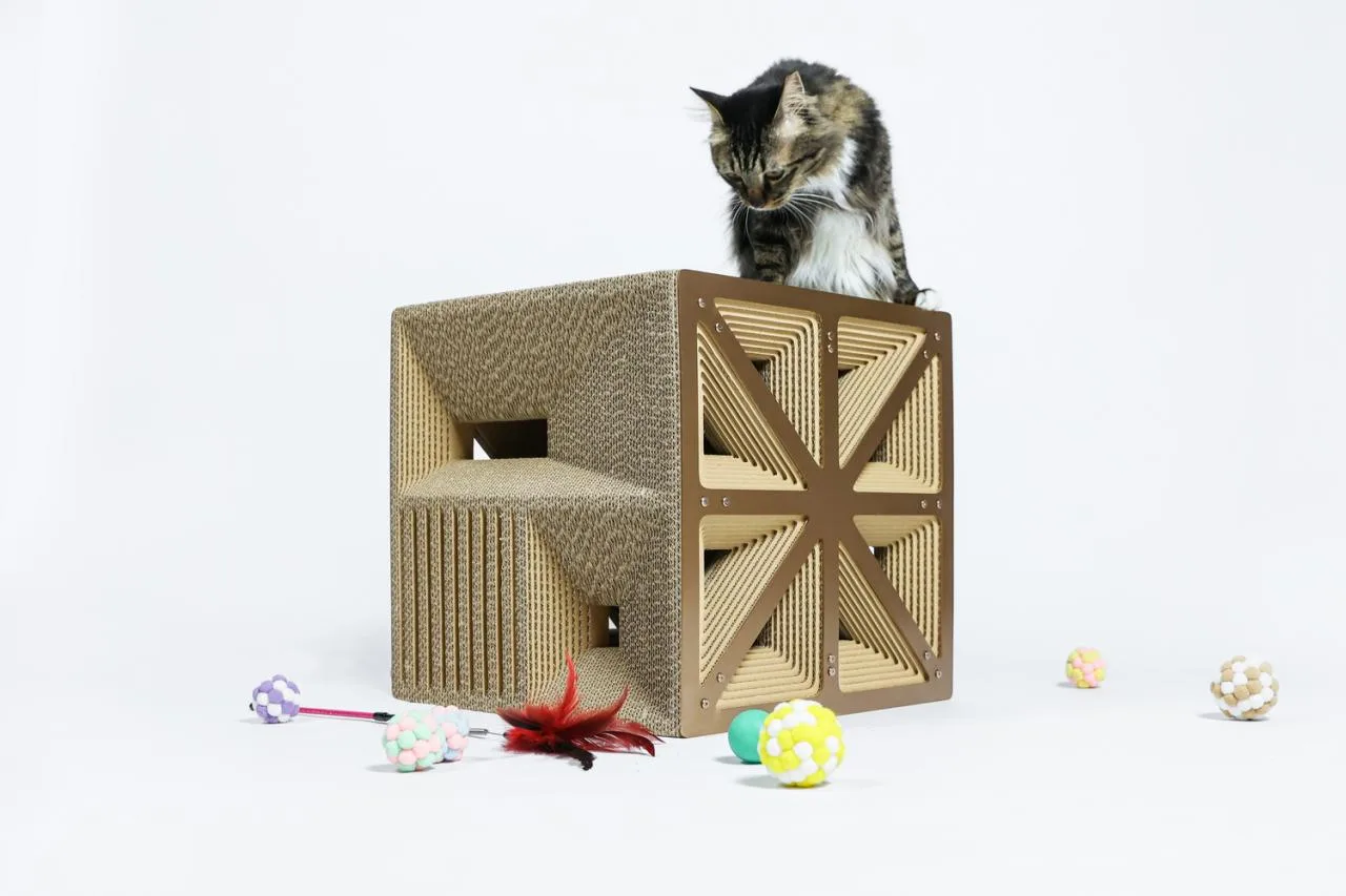 BIM Architecture | If the Owner is a Cat: Cat Cube Series/Duray