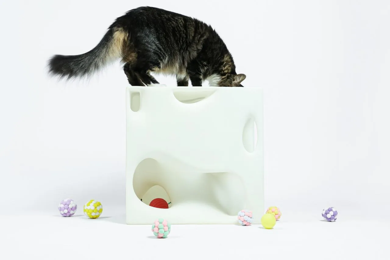 BIM Architecture | If the Owner is a Cat: Cat Cube Series/Duray