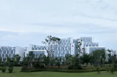BIM Architecture: Transforming Zhoushan Saili Cultural and Creative Square from Small Beginnings to Grand Scale-BIM WORLD