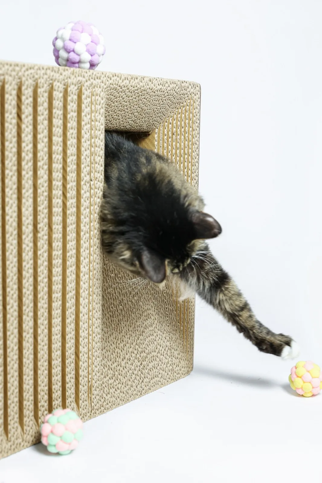 BIM Architecture | If the Owner is a Cat: Cat Cube Series/Duray