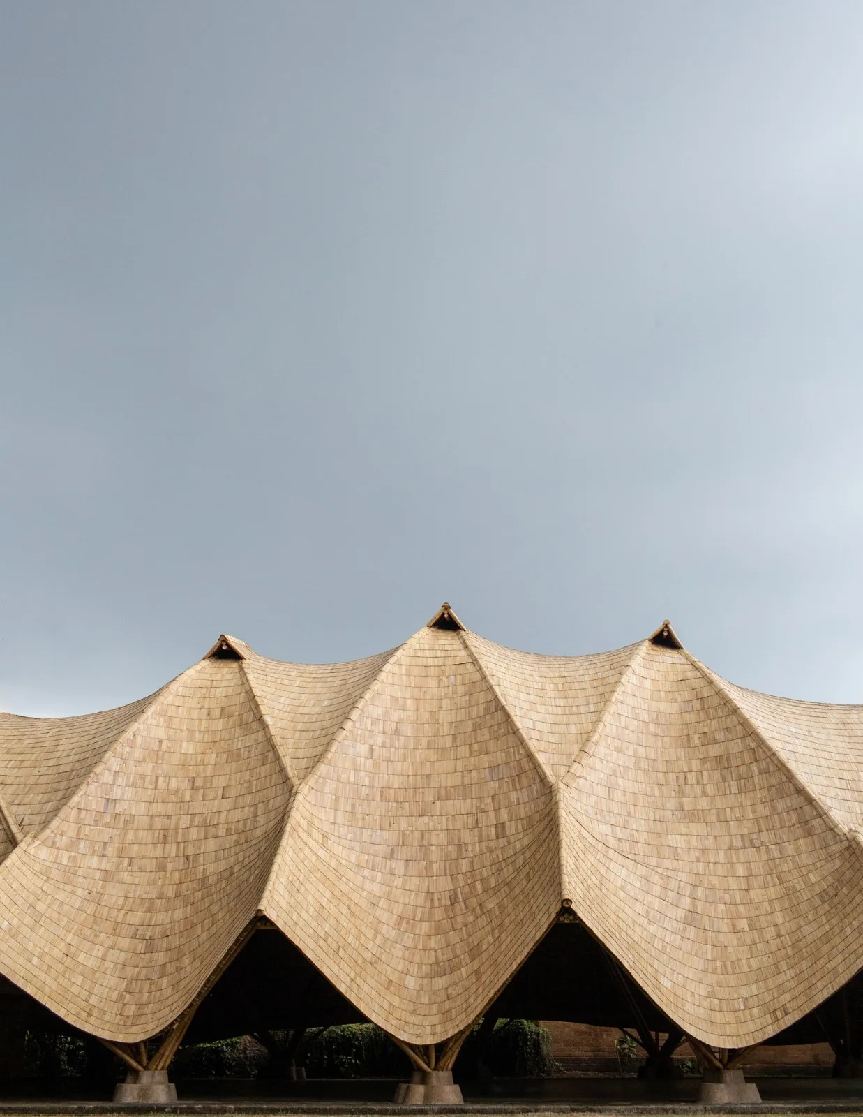 BIM Architecture | Minimum Structure Maximum Space, Bamboo Installation "Arc"/IBUKU