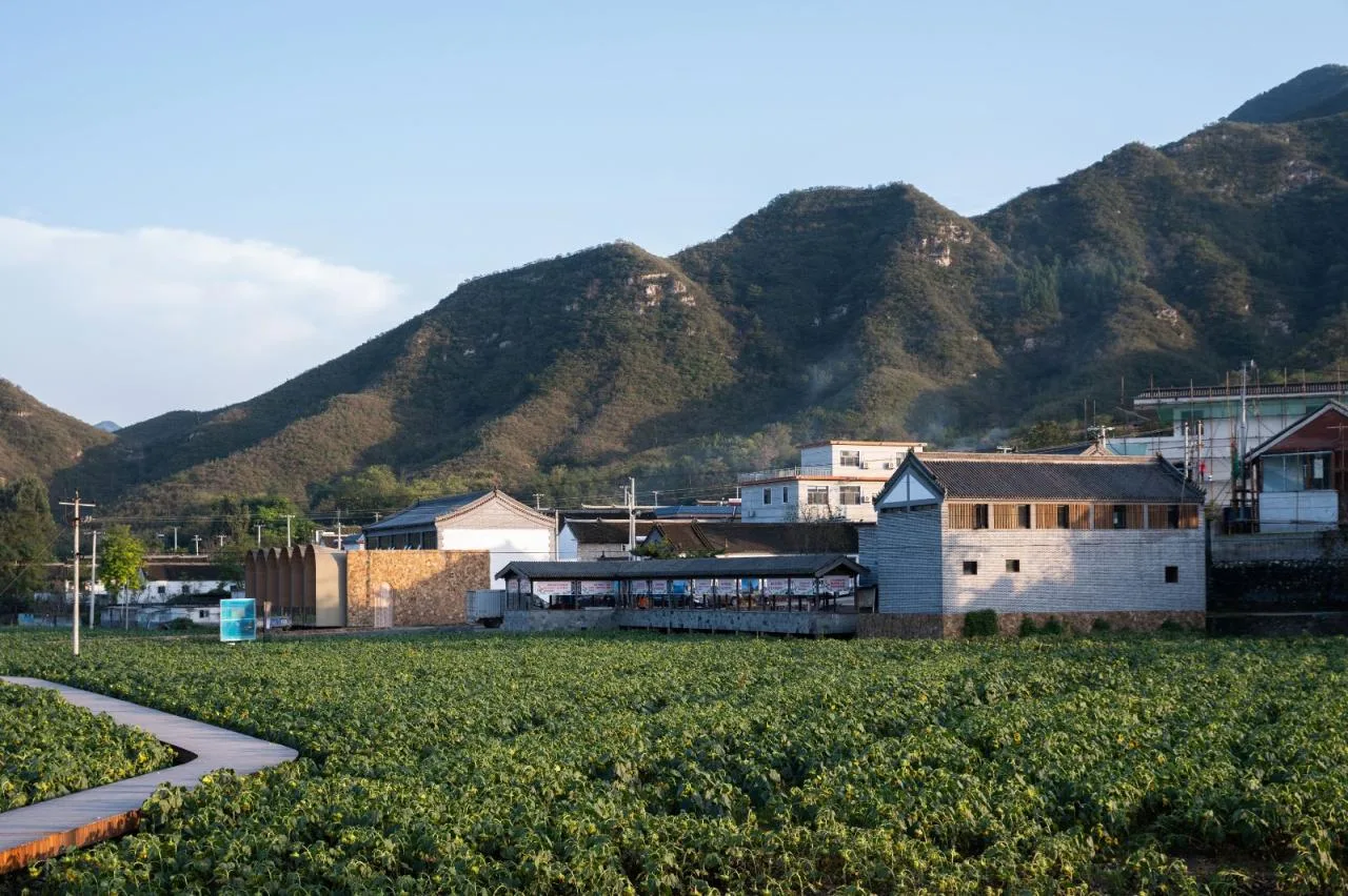 BIM Architecture | Tiangang Zhixing Village: Rural Reception Hall/Kanlan Architecture