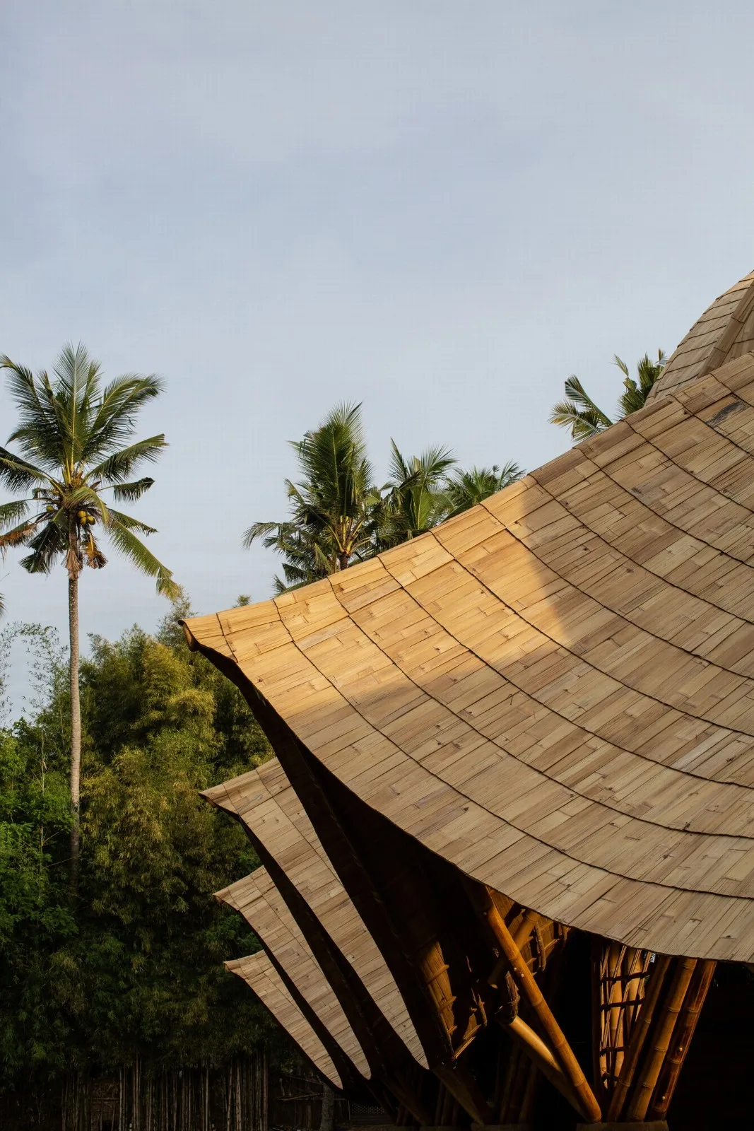 BIM Architecture | Minimum Structure Maximum Space, Bamboo Installation "Arc"/IBUKU